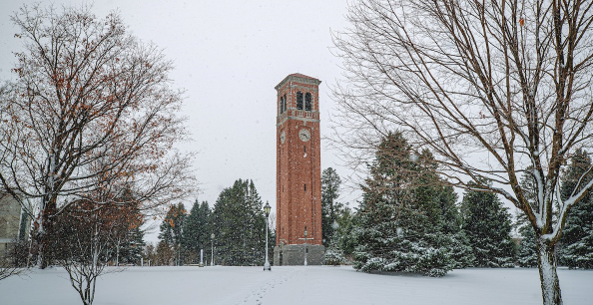 Campanile in the snow time