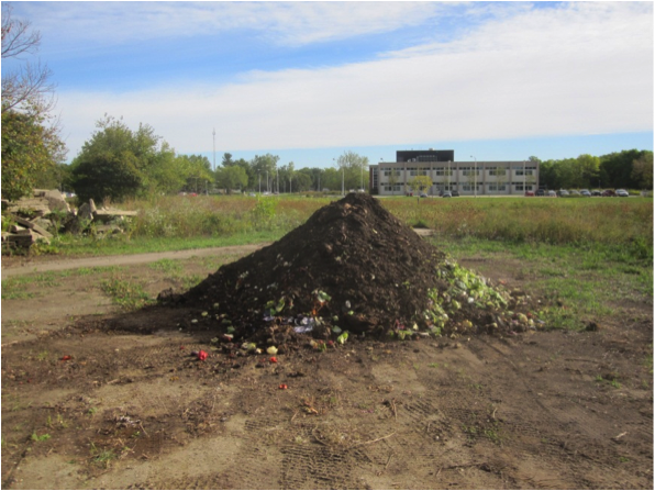 Compost